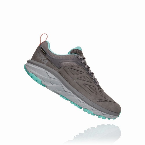 Hoka One One CHALLENGER LOW GORE-TEX Hiking Shoes For Women India Grey IN-0769